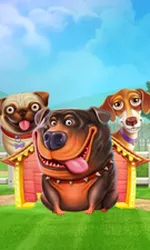 The Dog House