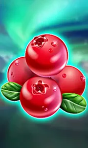 Winterberries